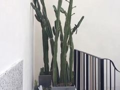 -大树餐厅(红旗街万达店)