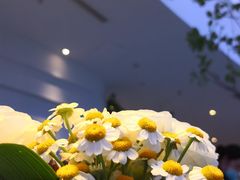 -花开餐厅(环湖中路店)