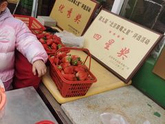 -大自然农场蔬菜草莓采摘园