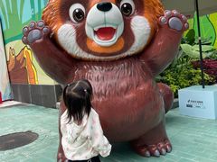 -海合安成都极地海洋公园