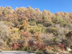 -玉渡山自然风景区