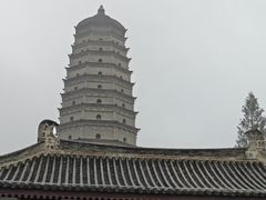 -香味氏族宝宝面皮屋(经二路总店)