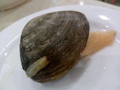 -春华海鲜城(广场西苑店)