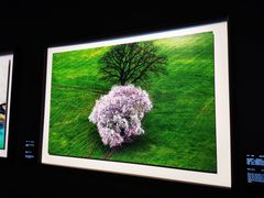 -罗红摄影艺术馆