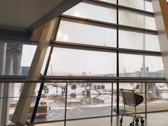 -合肥新桥国际机场-航站楼