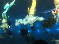 -瑞德姆美人鱼海底演艺主题餐厅(亚龙湾店)