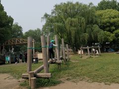 -东平国家森林公园
