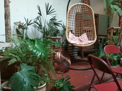 后院-The Daily Fix Cafe