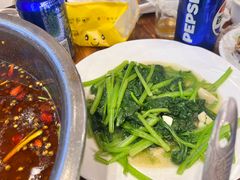 -乡土特色.冷锅鱼.牦牛肉汤锅