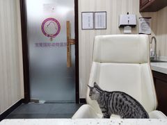 -宠爱国际动物医院·疑难骨科·心肾内科·皮肤科(太阳宫店)