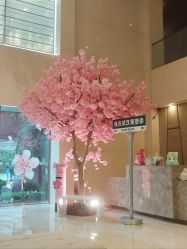 点击看大图 -晴川假日酒店·宴会厅·会议厅
