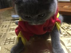 -宠颐生中康贝怡动物医院