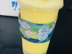 -野萃山·潮汕厚果汁(十亩地店)