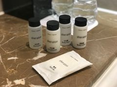 -常州武进九洲喜来登酒店