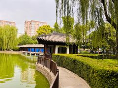 -团结湖公园
