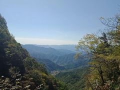 -王顺山国家森林公园