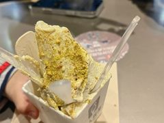 -野人先生现做冰淇淋(西安赛格店)