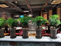 -红鼎坊·老成都火锅(新南门店)