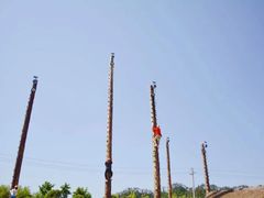 -八卦田遗址公园