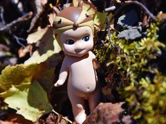 -叠溪松坪沟景区