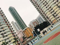 -彩虹村