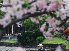 -四川大学(望江校区)
