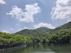 -白马涧龙池景区