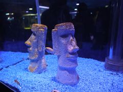 -海合安天津极地海洋公园