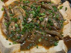 -鹭岛新泉客家菜·海鲜·融合菜(莲前店)