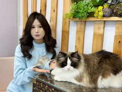 -青奢宠物·青奢猫舍