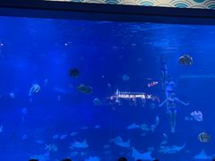 -烟台海昌鲸鲨海洋公园