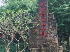 -王借岗森林公园