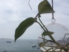 -东极岛景区