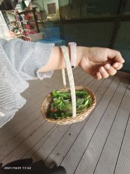 -可可天空农场(中大店)