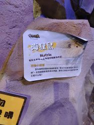 -奇幻萌宠部落(映月湖环宇城店)