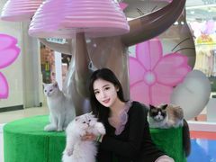 -PO PARK东方宝泰