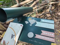 -华侨城湿地公园