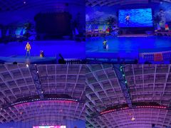 -海合安武汉极地海洋公园