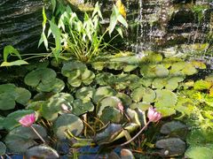 -国家植物园南园