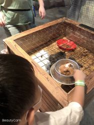 -酷嗒动物文化乐园(cutezoo西溪乐天城店)