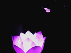 -印象普陀