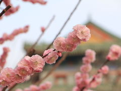 -北京明城墙遗址公园