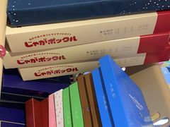 -关西国际机场直营免税店
