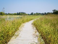 -野鸭湖国家湿地公园