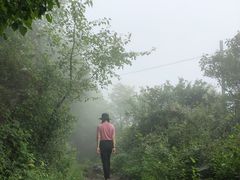 -阳台山自然风景区