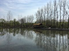 景点-溱湖国家湿地公园