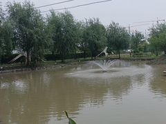 -大队长大灶鹅