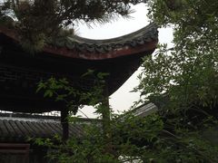 -碧丽宫大酒店(召稼楼店)