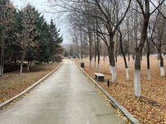 -长春世界雕塑园冰雪艺术天地