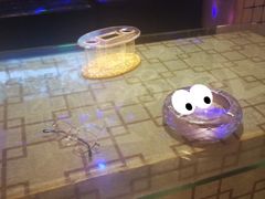 -欢乐糖果KTV(长江店)